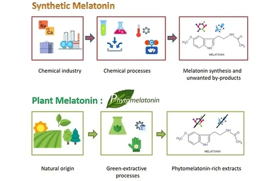 Plant Melatonin.jpg
